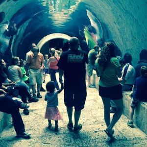 Meet your Posher, Shane